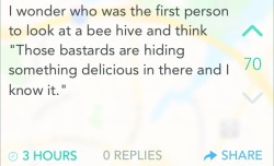 Bees!