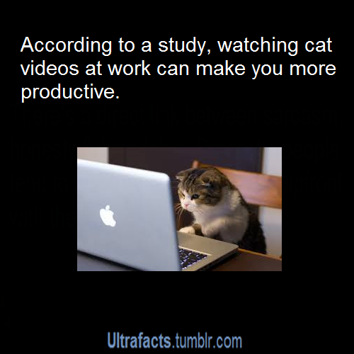 ultrafacts:     For more posts like this, follow the Ultrafacts Blog!    