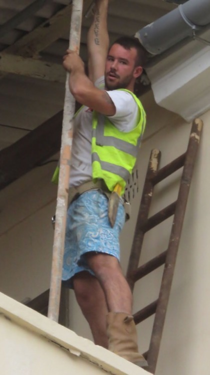 tradiewatch: Sprung