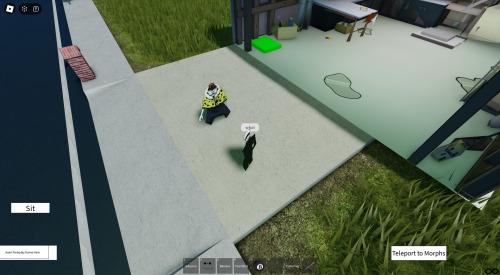 Roblox Screenshots