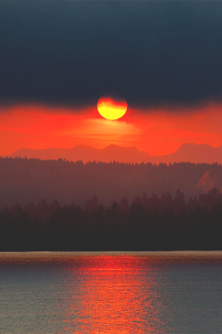 wearevanity:   Sunrise on Lake Washington ©  