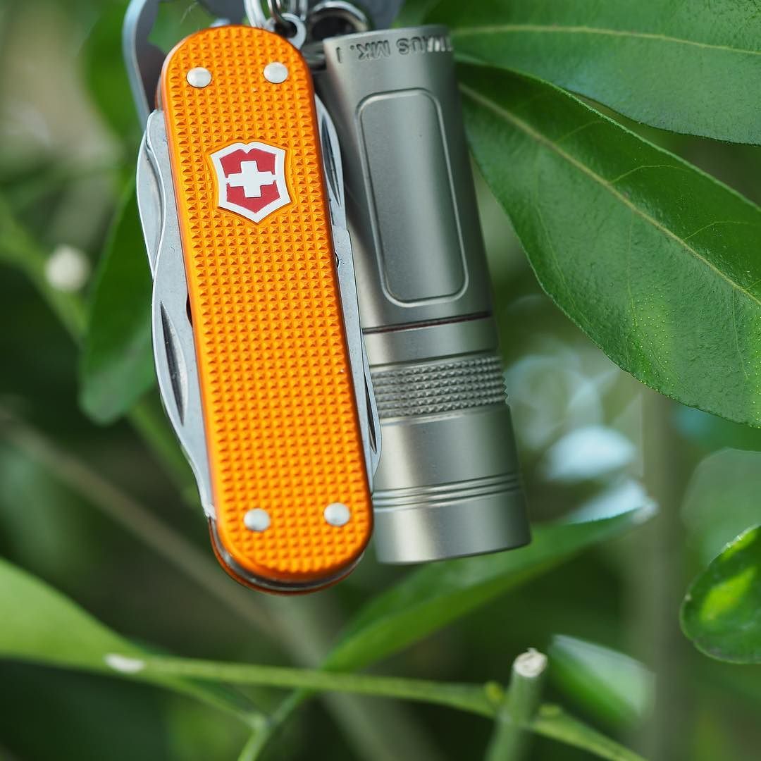 Pocket perfection #victorinox #victorinoxswissarmy #victorinoxalox #alox #aloxaholic #aloxpox #swissarmyknife #everydaycarry #sak #sakaddict #sakallday #edc #edccommunity #knifecommunity #edcig #edcuk #gearporn #geardump #sakcollector #knifeporn...