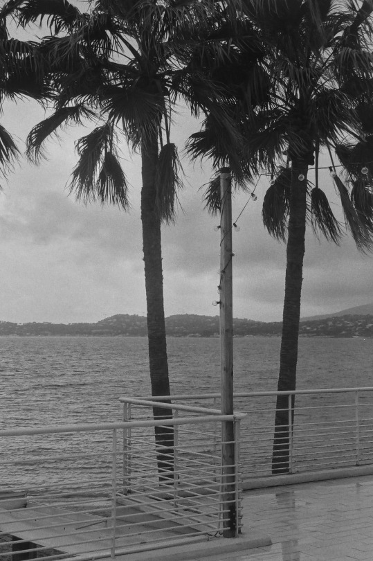 romaingimenez - 'THOSE ARE NOT PICTURES, THEY ARE IMAGES'