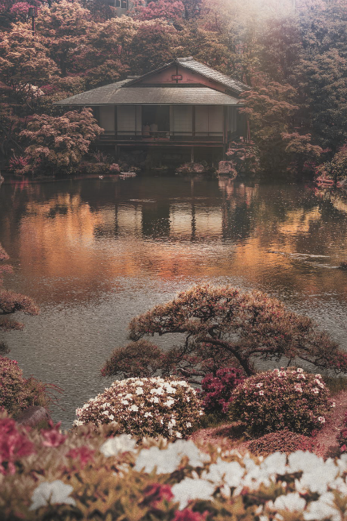 earthlycreations:  Azalea Paradise | Kiyoshi Lida