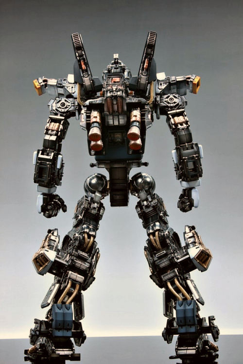 designerprosthetics:PG 1/60 RX-178 Gundam Mk-II by Suny Buny