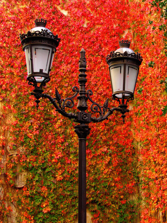 bonitavista:  Castile and Leon, Spain photo via lex 