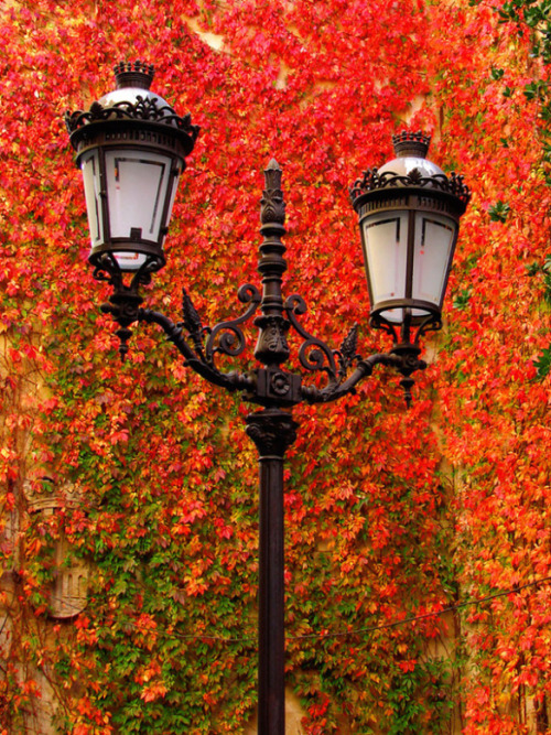 bonitavista:  Castile and Leon, Spain photo via lex 