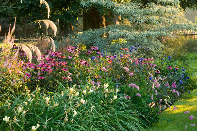 floralls:    PETTIFERS GARDEN, OXFORDSHIRE   by  Clive Nichols     