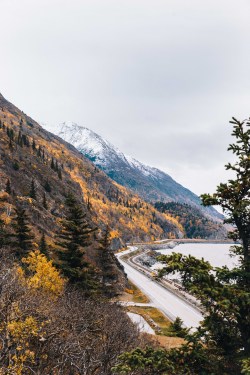 jovellyism:  Autumn &amp; the Seward Highway. McHugh Creek, Alaska. 