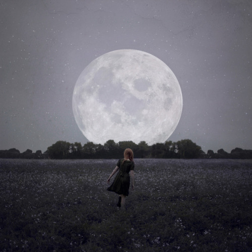 flying-scarecrow:  Luna awakening by StephaniePearl ☪ on Flickr.