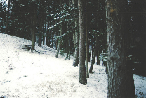 grett:  Winter 2010 by Fabio Corò - PARMA on Flickr. 