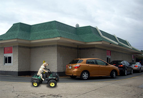 death-by-lulz:  thefrogman: Pow pow power wheels.  My lovely followers, please follow