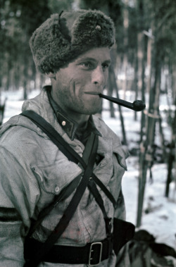 ppsh-41:  Finnish soldier with the rank of