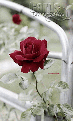 b02cccee28347154037a4f2d72a305db25911c49