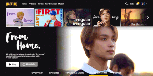 HAEFLIX STREAMING SERVICE