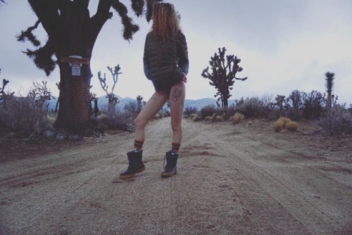 I swear there was snow. #4runnernation #4runneradventures #keepitwild #joshuatree #bootyfordays #tea