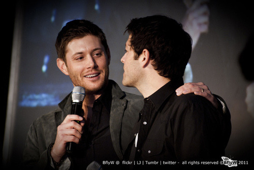 sammybitchfacewinchester:  So my friend thinks Jensen and Misha are a gay couple