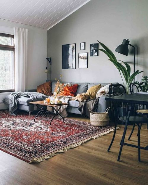 cute livingroom with a boho style, has anyone a rug like this?
