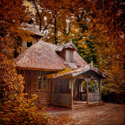 bluepueblo:  Forest Cottage, Hungary photo