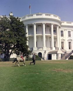 jfkpt109:  A secret service agent guides Caroline Kennedy’s pony, Macaroni. 