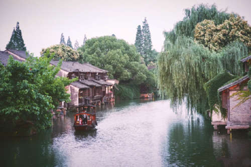 乌镇西栅 xizha, wuzhen, zhejiang province by 王小亚