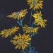 havekat:The Gift of SunWatercolor on Black Paper2020, 11&quot;x 14&quot;Yellow