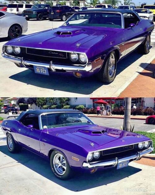 jacdurac:   ‘70 Dodge. Challenger  …