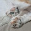 topiuuuuuuuuut-blog