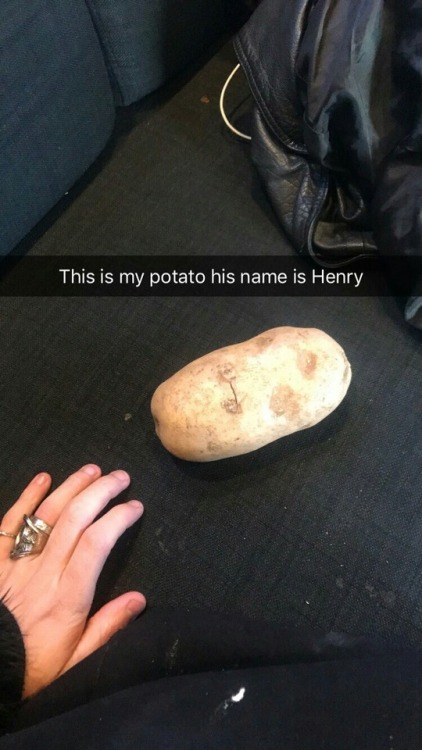 iigamerthii: Remington and Henry (a.k.a Renry) on his Insta story  I cant deal.