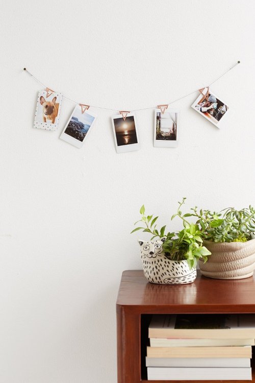 Nothing Cuter Than Plants And Polaroids On Display 🌿📷