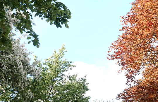 tumblr_prx359CpdD1s1z1q5o1_540.gif