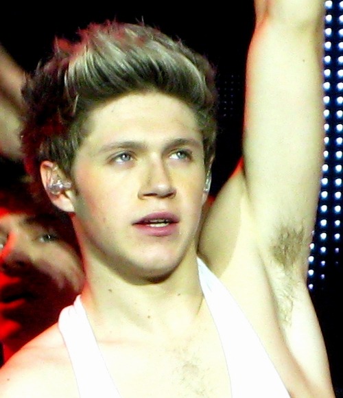 dylanbangbang:  niall horan those PITS 