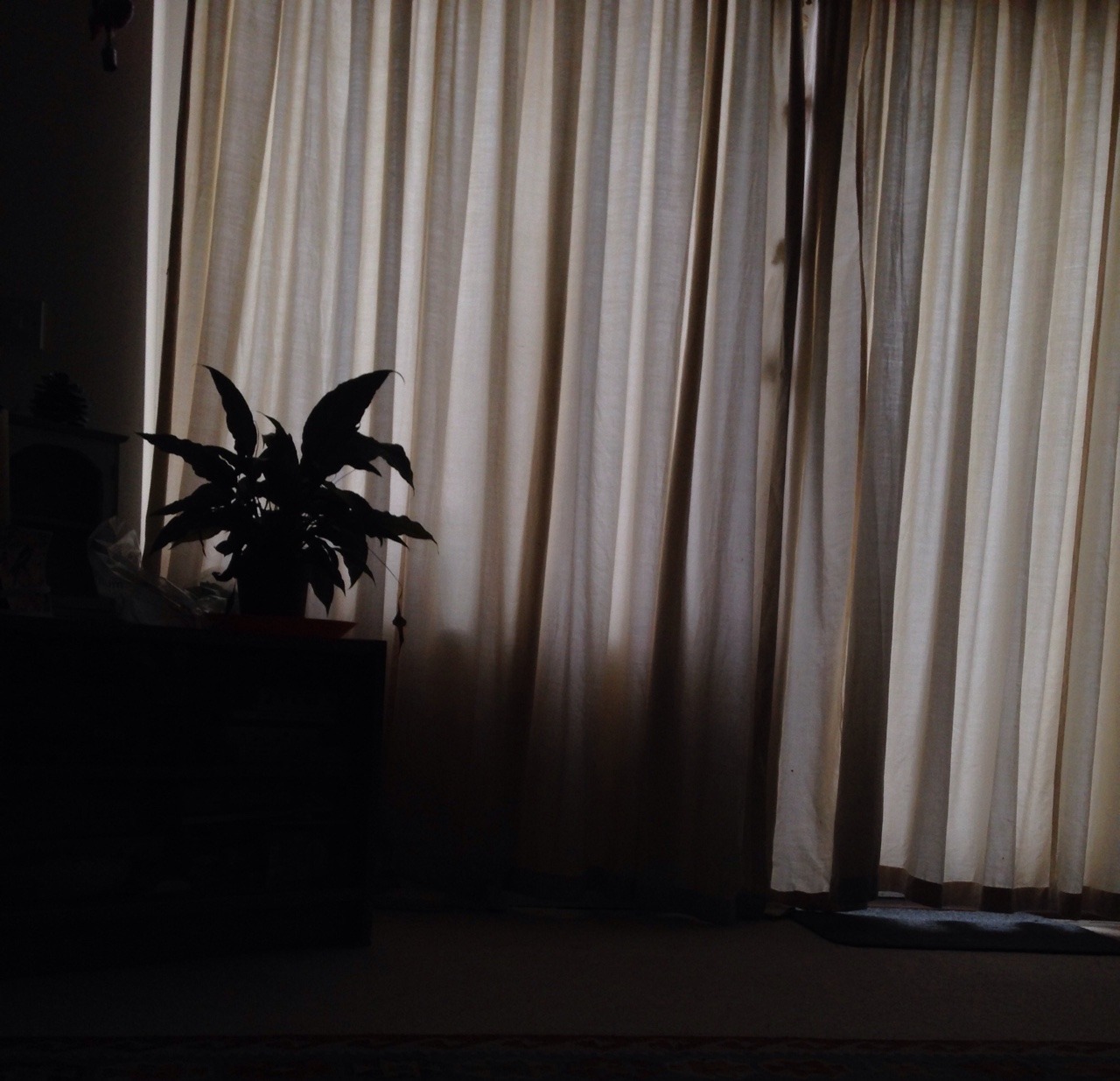 avocloudo:  06/11/16, uneventful