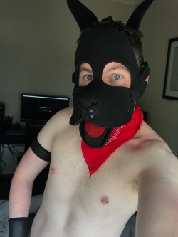 illburymybone:  Get a Pup that can do both. 🐶|🐺  Woof!