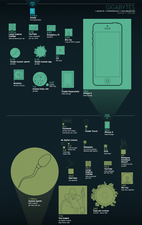 FROM MEGABYTE TO YOTTABYTEEach new section represents a 10x increase, except for the last (zettabyte