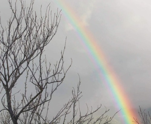 XXX lonesnow:the prettiest rainbow i’ve seen photo