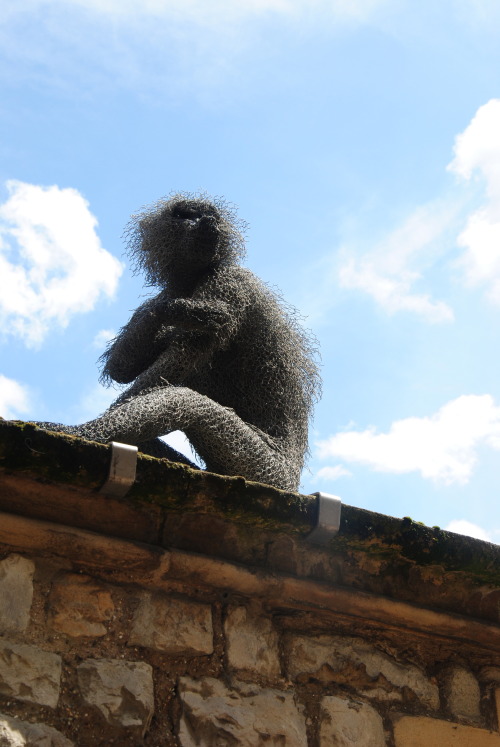 The Tower Zoo was known all over Europe and people would flock to see the strange collection of crea