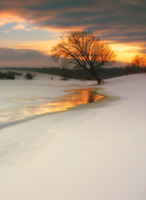 colorel11:  ©vovaobserver 