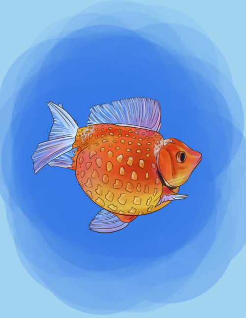 I saw a picture of a fat, weird looking goldfish and I wanted to draw it. I’m happy with how this tu