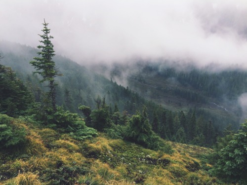 colemanbright:fog blocking the view of mt. hood.instagram: colemanbright