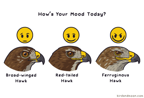 birdandmoon:How are you feeling today? These are the only three options.