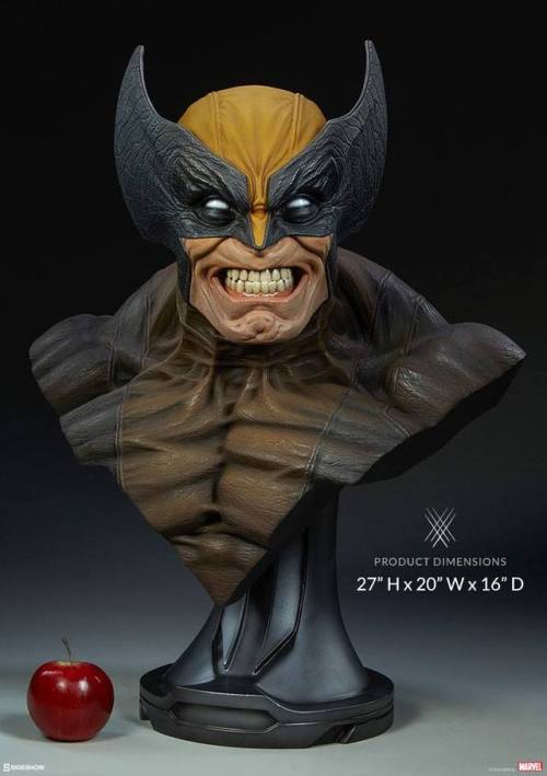 Sex haxanbelial:  Wolverine life-size bust by pictures