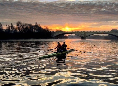 millerrowing:You’ve made great progress, but it is not enough. Because you can do more.