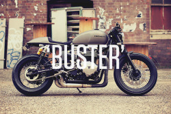 auto-bite:  “Mean Machine’s 2013 Triumph Thruxtoin: Buster”