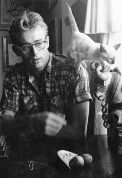  James Dean with his cat at home, 1955. 