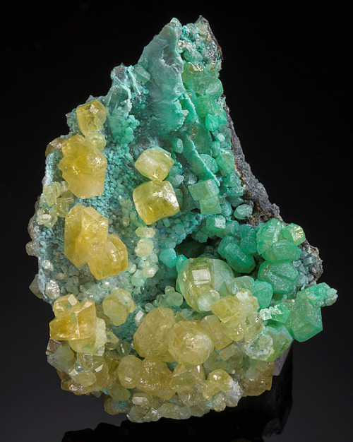 Yellow Cerussite crystals on Chrysocolla covered Cerussite - Daoping Mine, Gongcheng Co., Guilin Pre