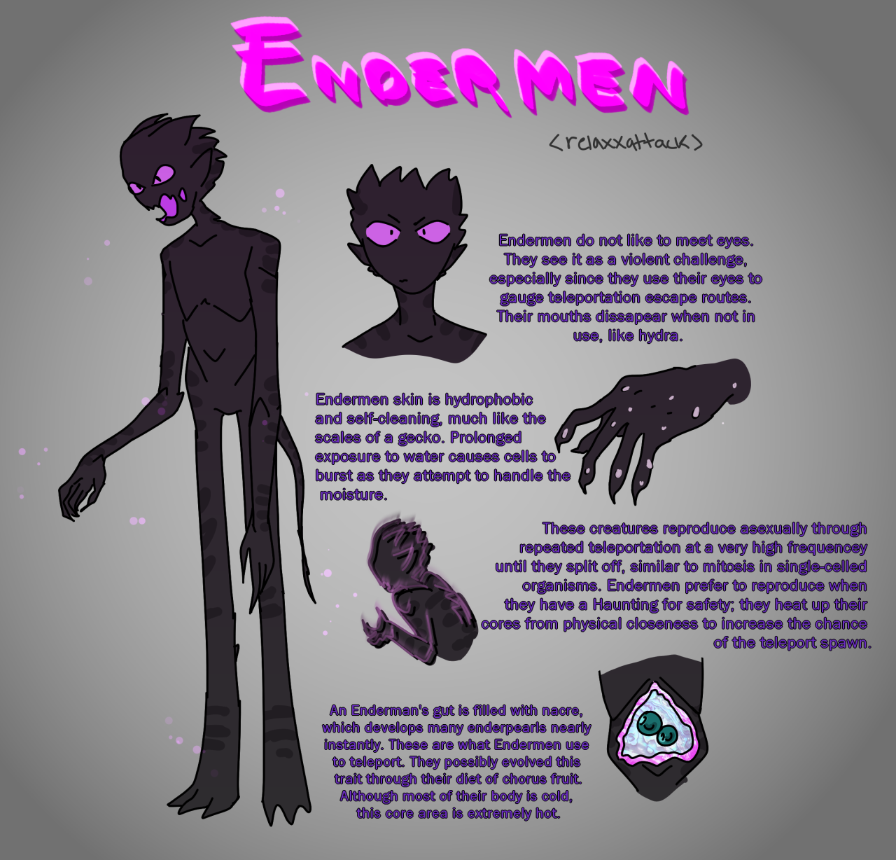 Meet the Enderman