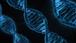 futurismnews: New DARPA Initiatives Aim to Improve Safety and Efficiency of CRISPR Gene Editing