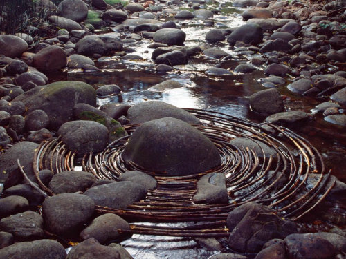 landscape-photo-graphy: Artist’s Temporary Decaying Art Brings Enchantment To The Forest British sculptor Andy Goldsworthy is known for his phenomenal and temporary, installations which involve using natural elements, ranging from sticks, stones, leaves