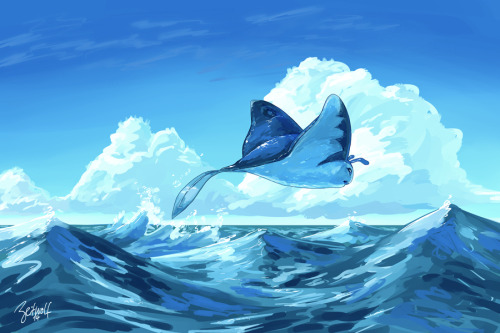 chubbysharks:A solitary Mantine roaming the sea. Blue blue blue blue blue blue blue….(´ꇴ ˋ)ﾉ♪Sai, 1h